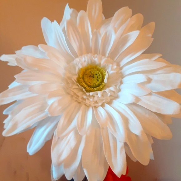 Meet your Posher, Julie - Picture 1 of 1